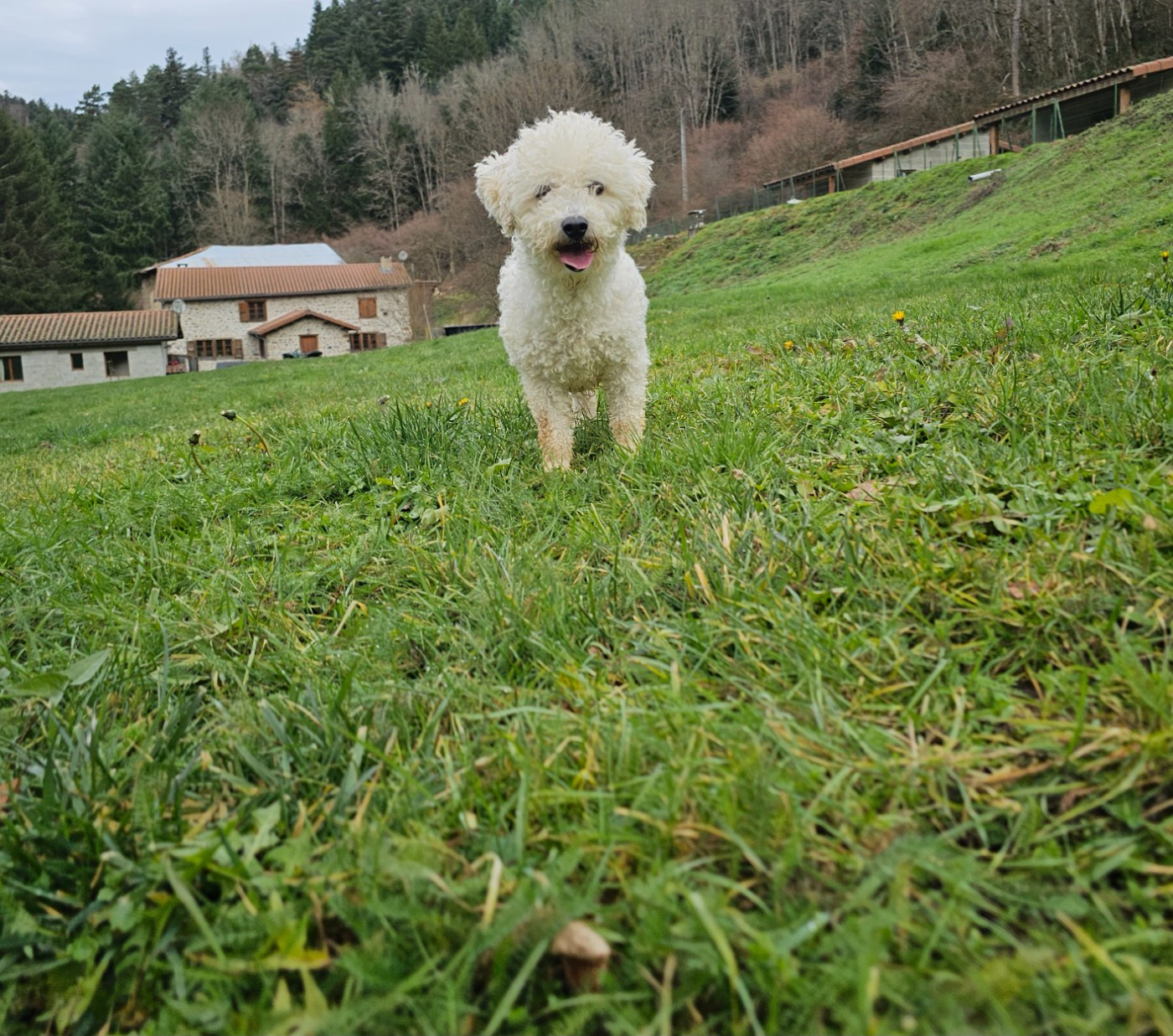 Utopie du Moulin de Bonneval