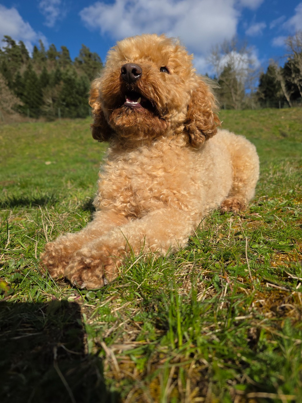 Uven du Moulin de la Terrasse
