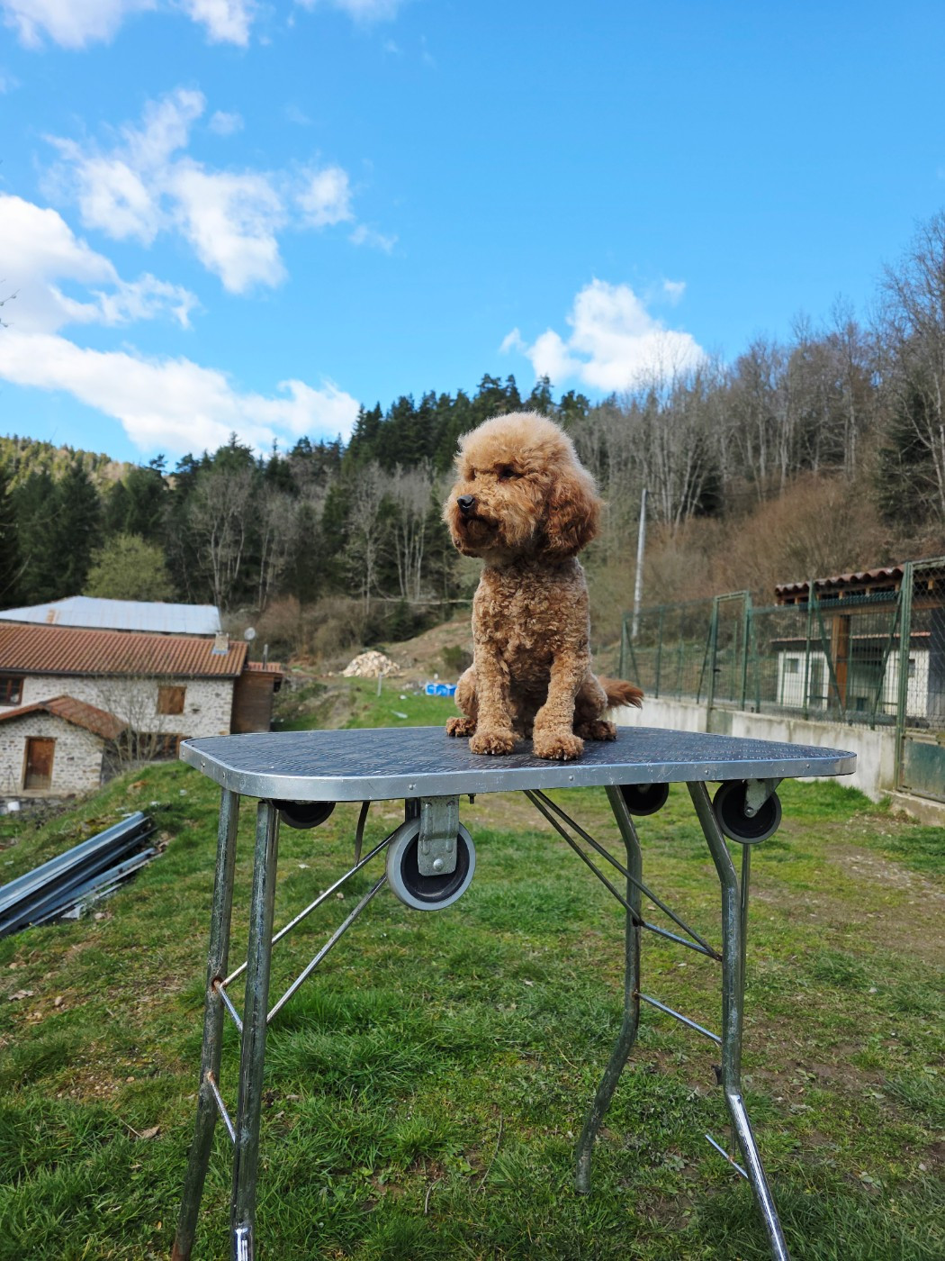 Uzana du Moulin de la Terrasse